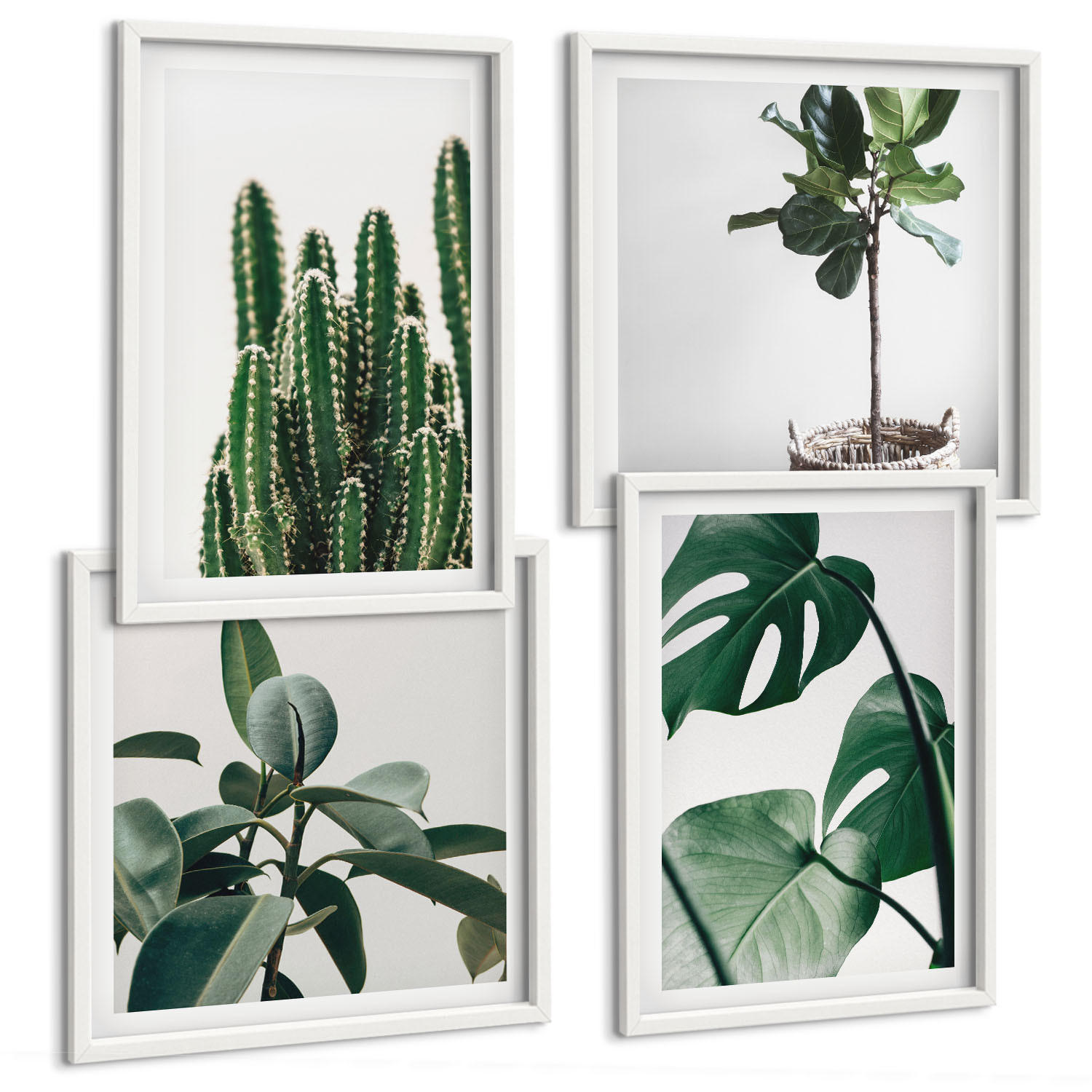 BILDER SET 4er Set - 50x50 cm & 40x60 cm Weißer Rahmen - Ästhetik tropischer Pflanzen - Weiß, Kunststoff (50/50cm) - TULUP