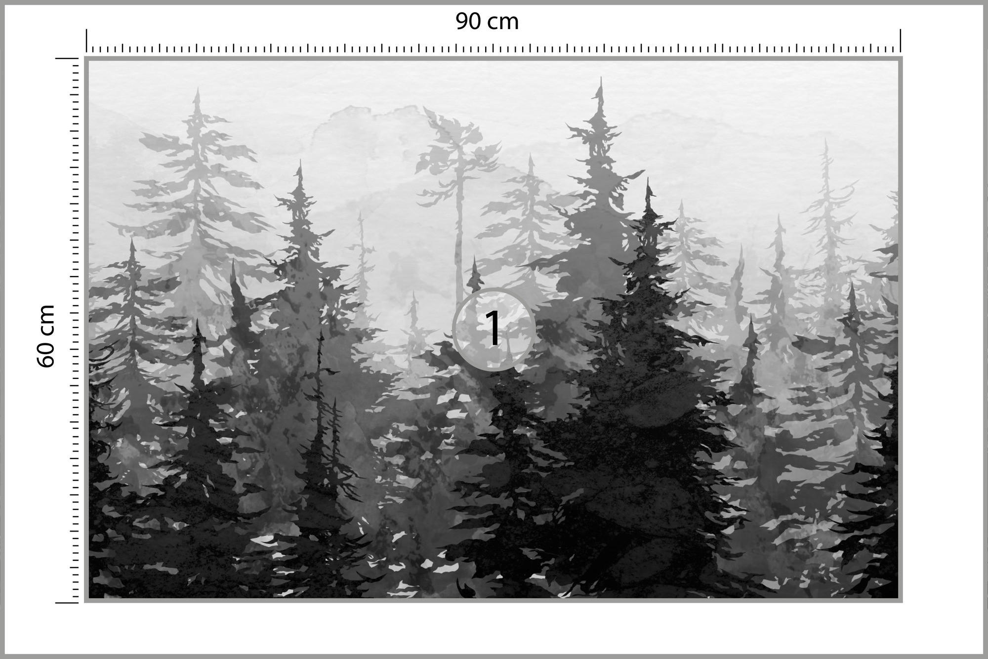 FOTOTAPETE Schwarz-Weiß WALD Bäume Natur 90x60cm - Schwarz/Weiß, Papier (90/60cm) - Muralo