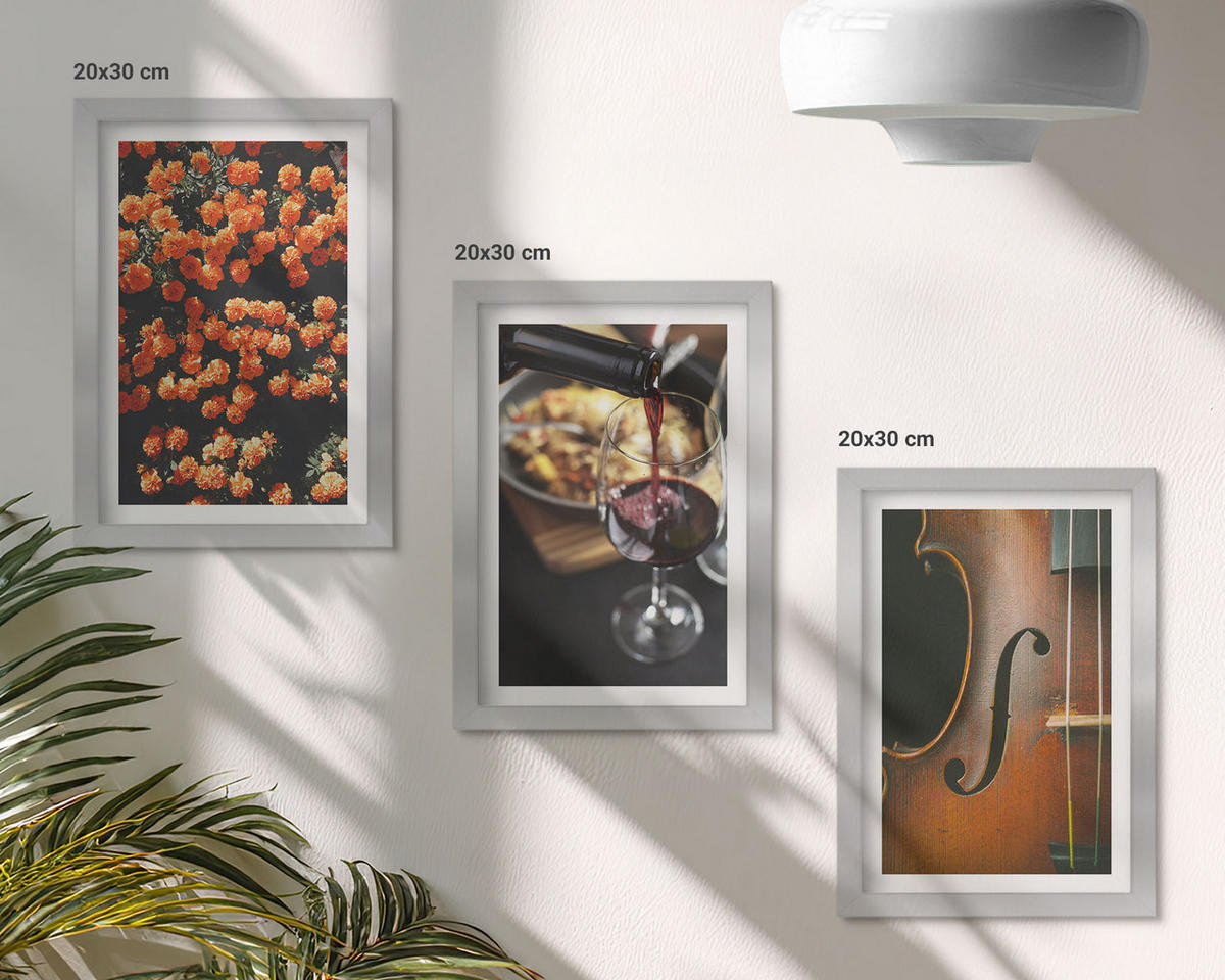 WANDBILDER 3er Set - 20x30 cm Silberner Rahmen - Vintage Blumen Wein Geige - Silberfarben, Kunststoff (20/30cm) - ArtPrintCave