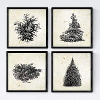 POSTER Set mit 4 Blättern der Bäume und Sträucher Jahrgang Hintergrund 20x20cm Rahmenlos - Klar, Papier (20/3cm) - Nacnic