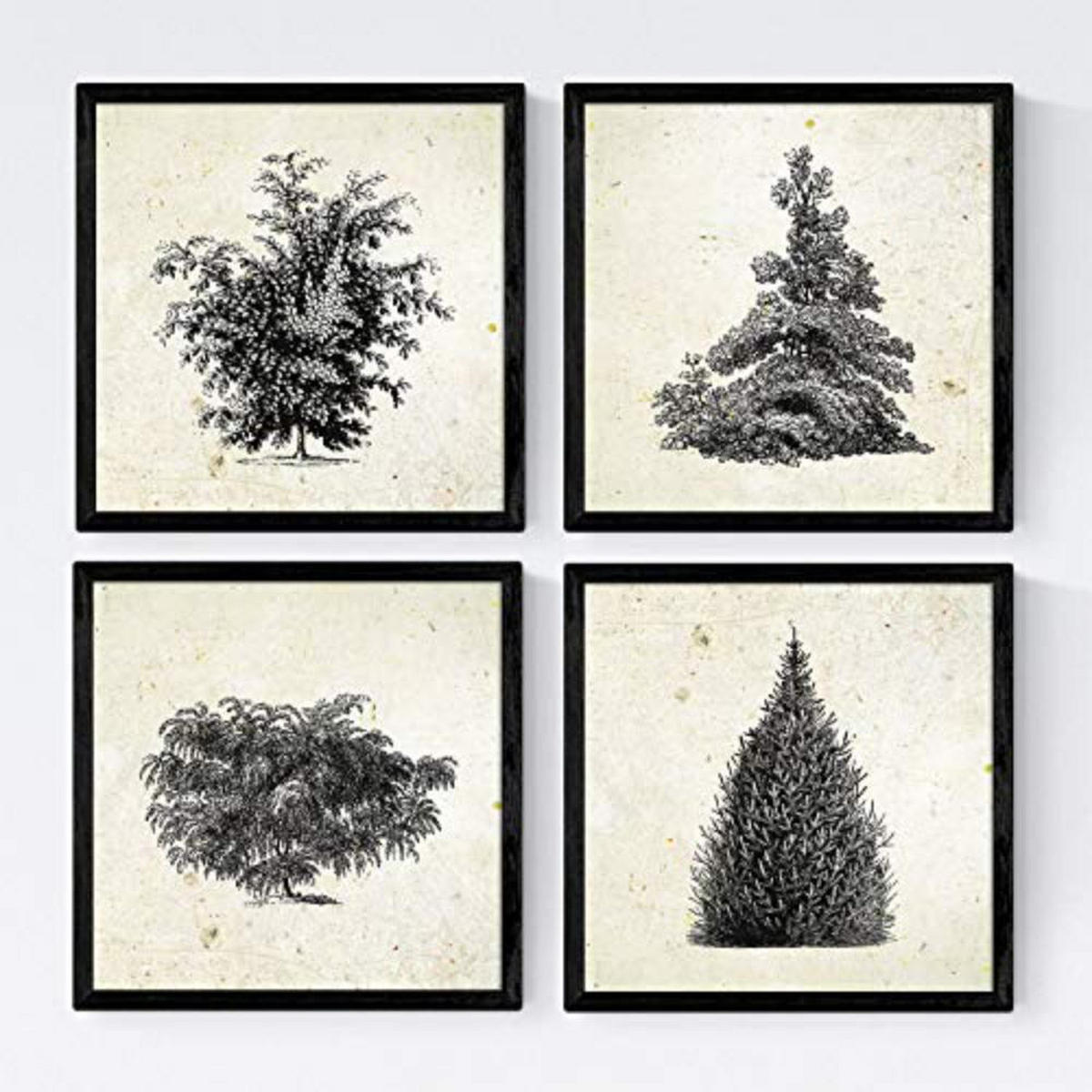 POSTER Set mit 4 Blättern der Bäume und Sträucher Jahrgang Hintergrund 20x20cm Rahmenlos - Klar, Papier (20/3cm) - Nacnic