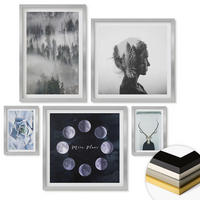 WANDBILDER 5er Set - 50x50 cm & 20x30 cm & 40x60 cm Silberner Rahmen - Waldnebel, Mond, Schädel, Frau - Silberfarben, Kunststoff (40/60cm) - ArtPrintCave