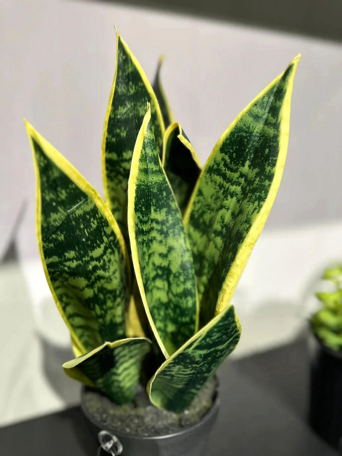 KÜNSTLICHE Sanseveria - Ares 40 cm - Gelb, Kunststoff (40cm) - aplanta