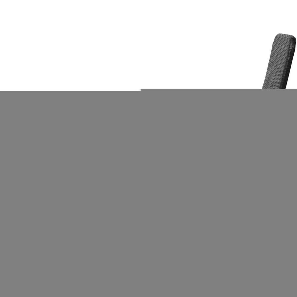 SONNENLIEGE Klappbar Poly Rattan Schwarz - Schwarz, Kunststoff (61/95/147cm) - furnicato