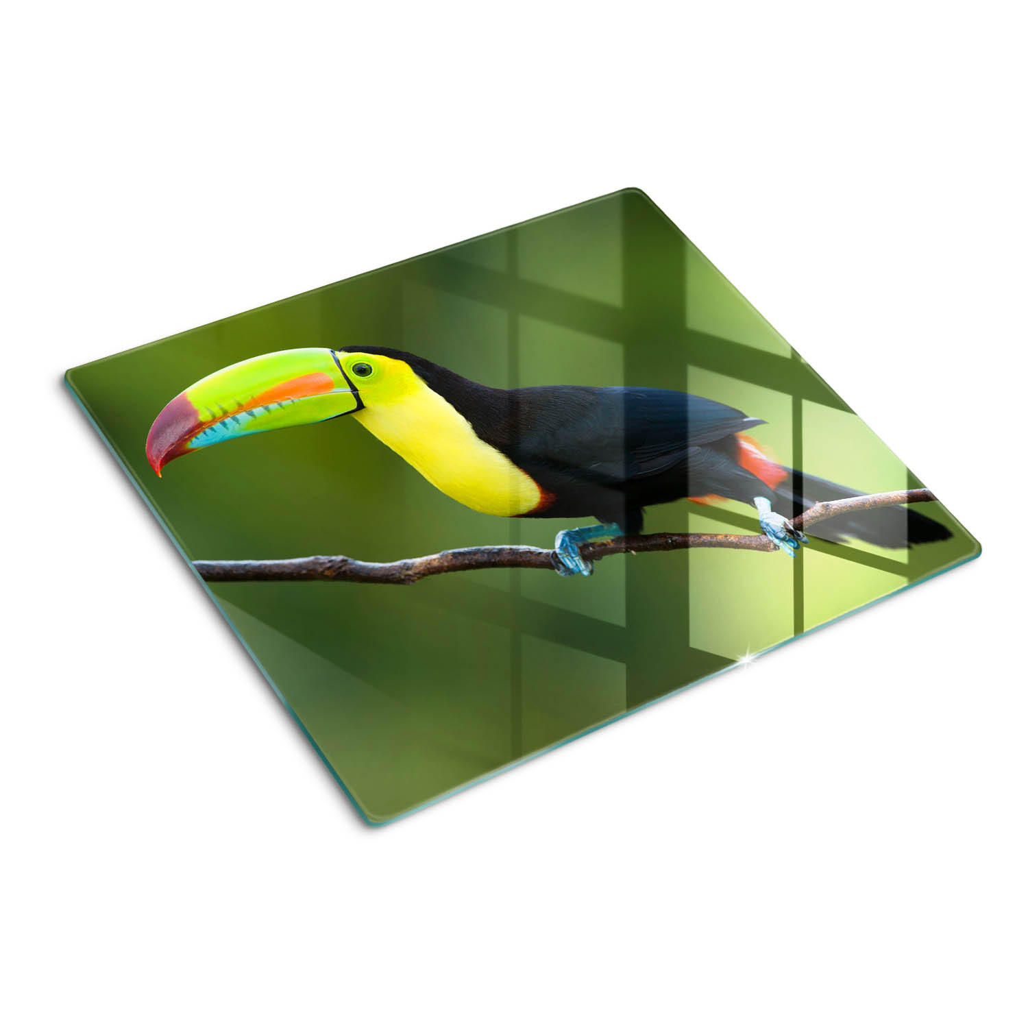 Tulup Glasplatte Mehrfarbig 60x0.4x52 cm