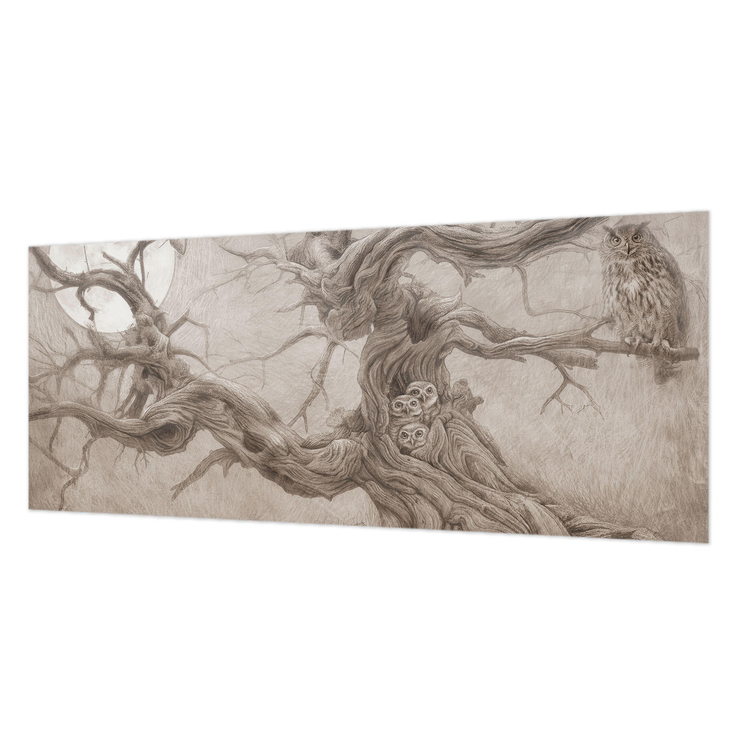 FOTOTAPETE 250x104 cm - Nachtvögel - Beige, Textil (250/104cm) - Wallfluent