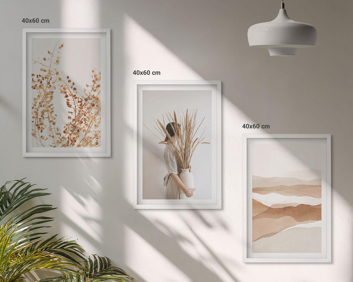 WANDBILDER 3er-Set - 40x60 cm Weißer Rahmen - Rustikale Boho-Blumenmotive - Weiß, Kunststoff (40/60cm) - ArtPrintCave