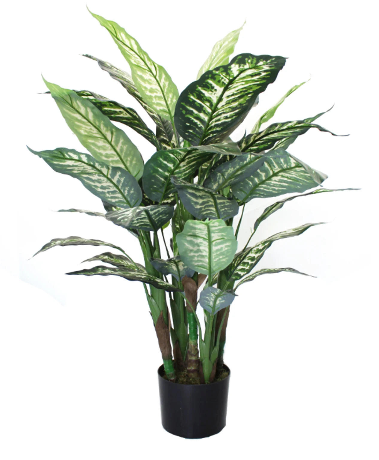 KUNSTPFLANZE Künstliche Dieffenbachia – Calienne 70 cm - Naturfarben, Kunststoff (70cm) - aplanta