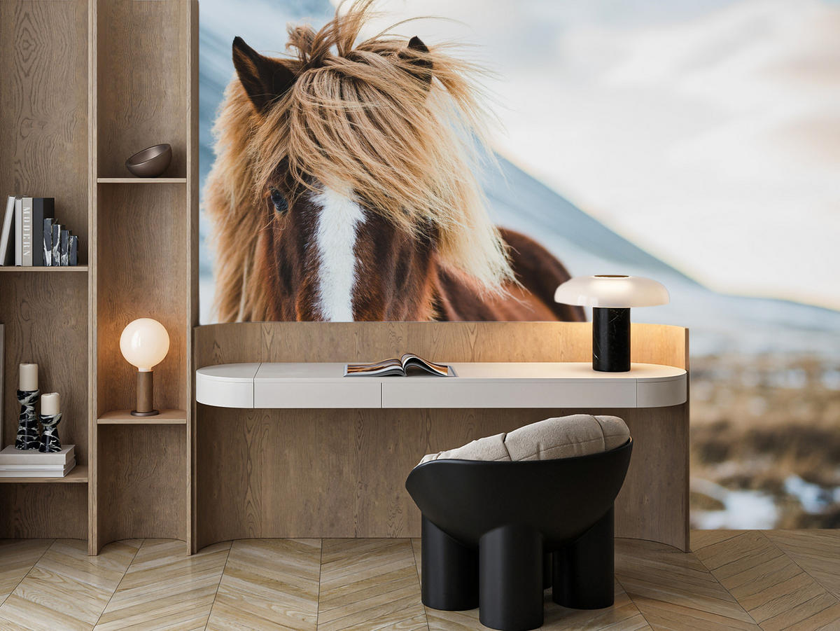 FOTOTAPETE für Schlafzimmer Isländisches Wildpferd Portrait Wiese 200x140 - Beige/Braun, Papier (200/140cm) - Muralo