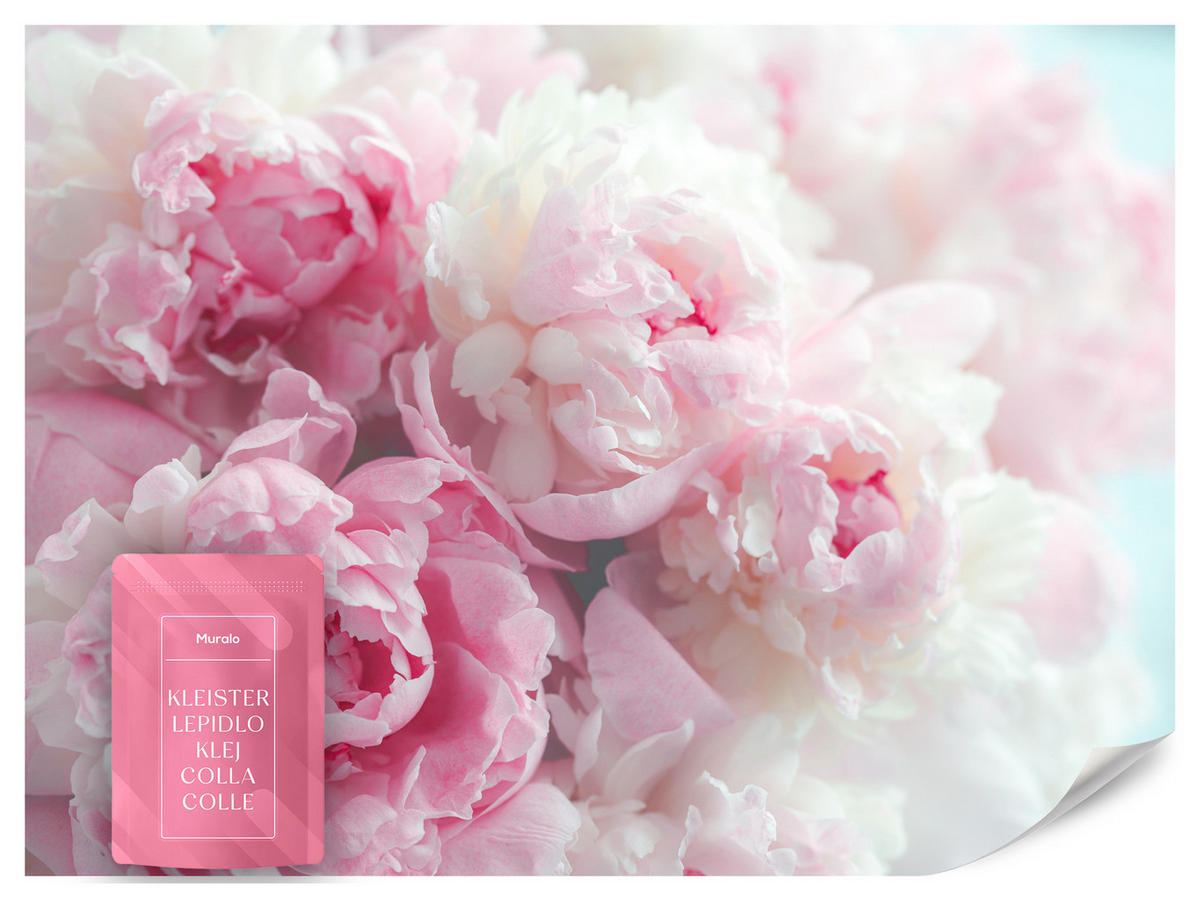 FOTOTAPETE Blumen Pfingstrosen Natur 3D 500x350 - Blau/Rosa, Papier (500/350cm) - Muralo