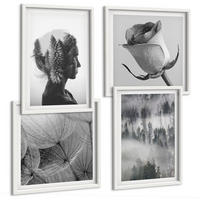 BILDER SET 4er Set - 50x50 cm & 40x60 cm Weißer Rahmen - Waldnebelporträt einer Frau - Weiß, Kunststoff (50/50cm) - TULUP