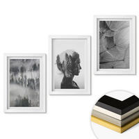 WANDBILDER 3er-Set - 20x30 cm Weißer Rahmen - Waldnebelporträt Baum Löwenzahn - Weiß, Kunststoff (20/30cm) - ArtPrintCave