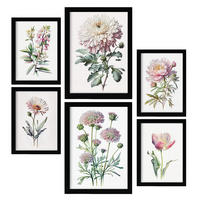 POSTER Set Mit 6 Pinke Blumen Vollfarbige Blumenmotiven A3 & A4 Rahmenlos - Klar, Papier (29/3cm) - Nacnic