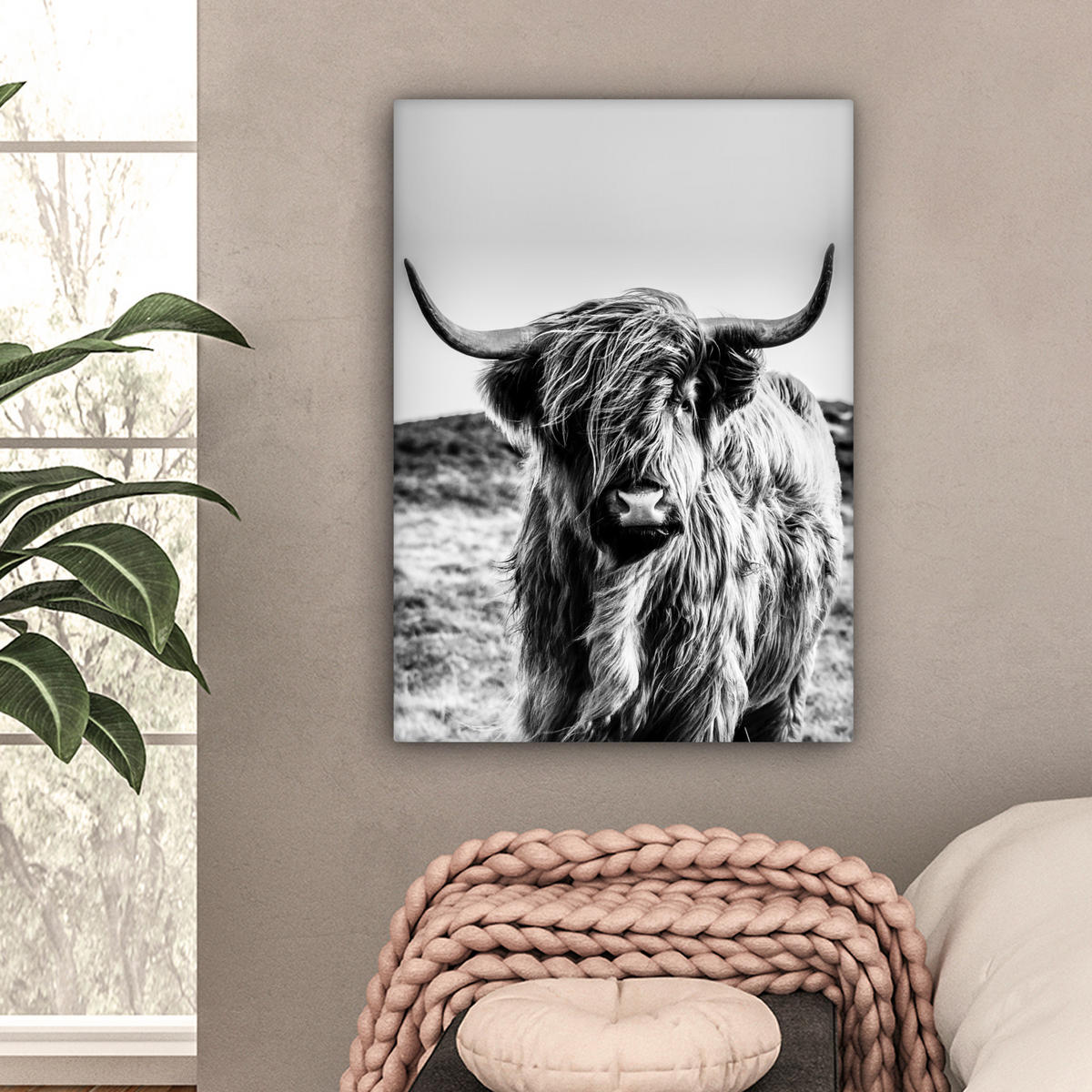 OBRAZ NA PLÁTNĚ Kráva - Skotský horal - Černá - Bílá - Zvíře - Příroda - Divoká zvěř 60x80 cm - černá, textil (60/80cm) - MuchoWow