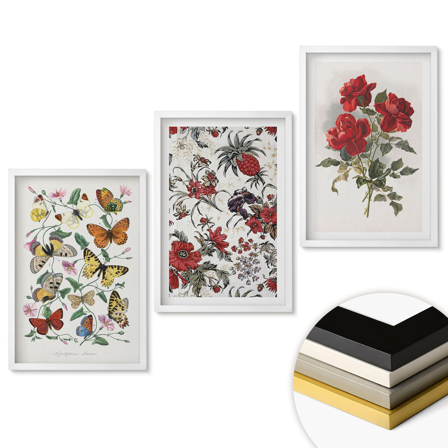 WANDBILDER 3er-Set - 40x60 cm Weißer Rahmen - Schmetterlinge, Blumen, rote Rosen - Weiß, Kunststoff (40/60cm) - ArtPrintCave