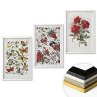 WANDBILDER 3er-Set - 40x60 cm Weißer Rahmen - Schmetterlinge, Blumen, rote Rosen - Weiß, Kunststoff (40/60cm) - ArtPrintCave