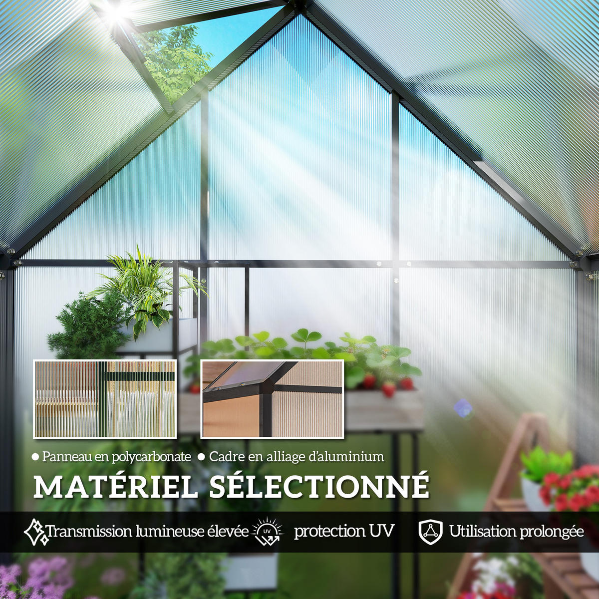 GEWÄCHSHAUS DE-12079 mit verstellbarem Fenster Transparent - Schwarz, Metall (58/195/170cm) - ComfortXL