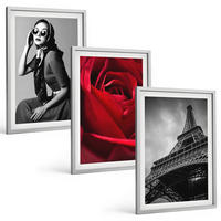 BILDER SET 3er Set - 40x60 cm Silberner Rahmen - Pariserin mit Eiffelturmbrille - Silberfarben, Kunststoff (40/60cm) - TULUP