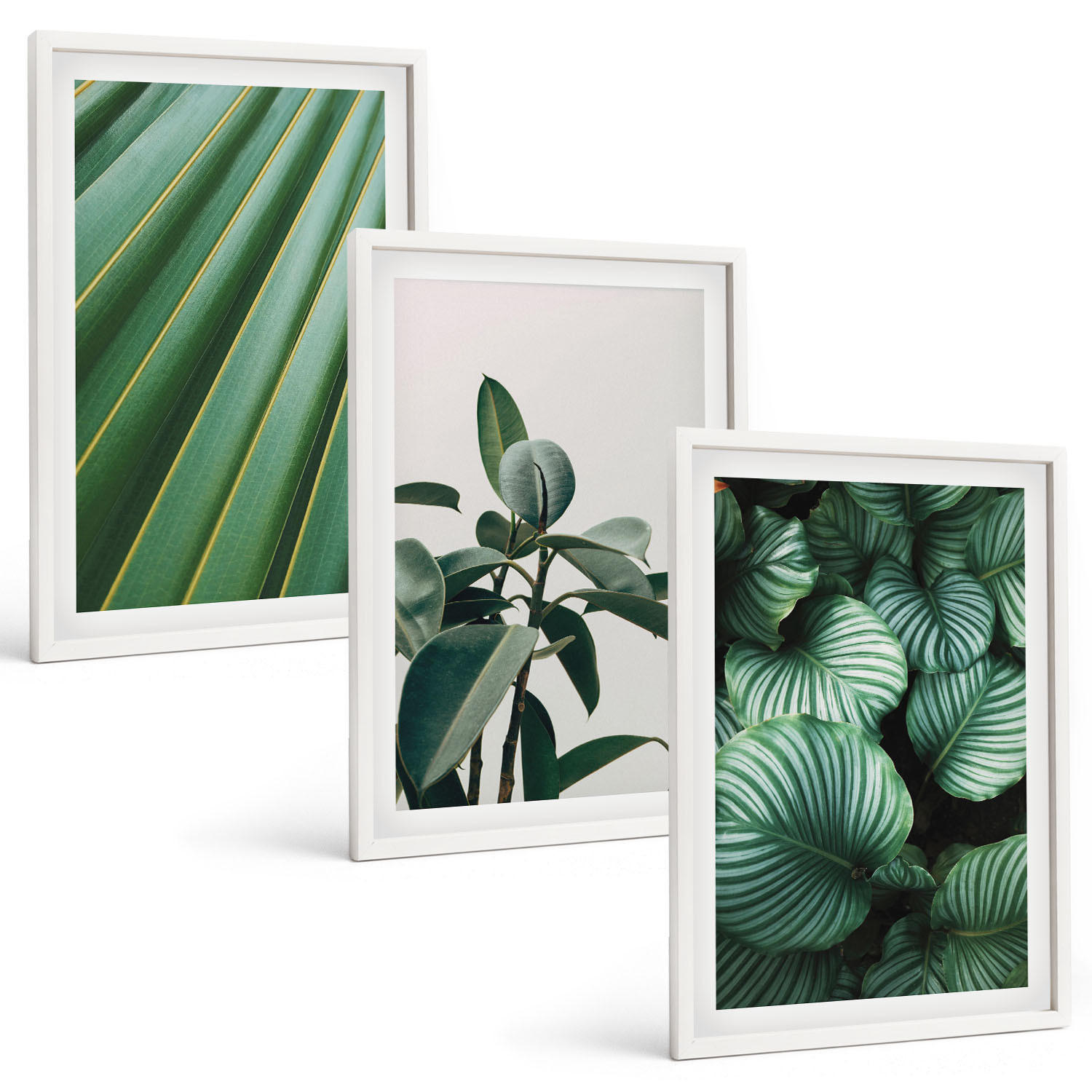 BILDER SET 3er Set - 40x60 cm Weißer Rahmen - Ästhetische tropische Blätter - Weiß, Kunststoff (40/60cm) - TULUP