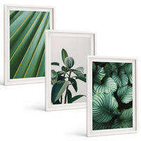 BILDER SET 3er Set - 40x60 cm Weißer Rahmen - Ästhetische tropische Blätter - Weiß, Kunststoff (40/60cm) - TULUP