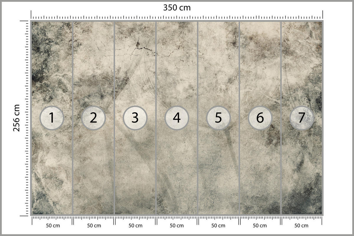 FOTOTAPETE Löwenzahnsamen Beton Vintage Stil 350x256 - Beige/Braun, Papier (350/256cm) - Muralo