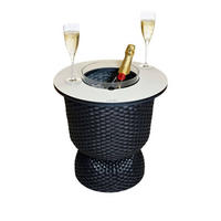 BEISTELLTISCH MIT ACRYL-KÜHLER Paris Schwarz/Champagner 43 cm - Champagner/Schwarz, Kunststoff (41/41/43cm) - COOTAB Cooler Table