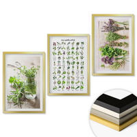 WANDBILDER 3er Set - 40x60 cm Goldrahmen - Getrocknete Kräuter für die Küche - Goldfarben, Kunststoff (40/60cm) - ArtPrintCave