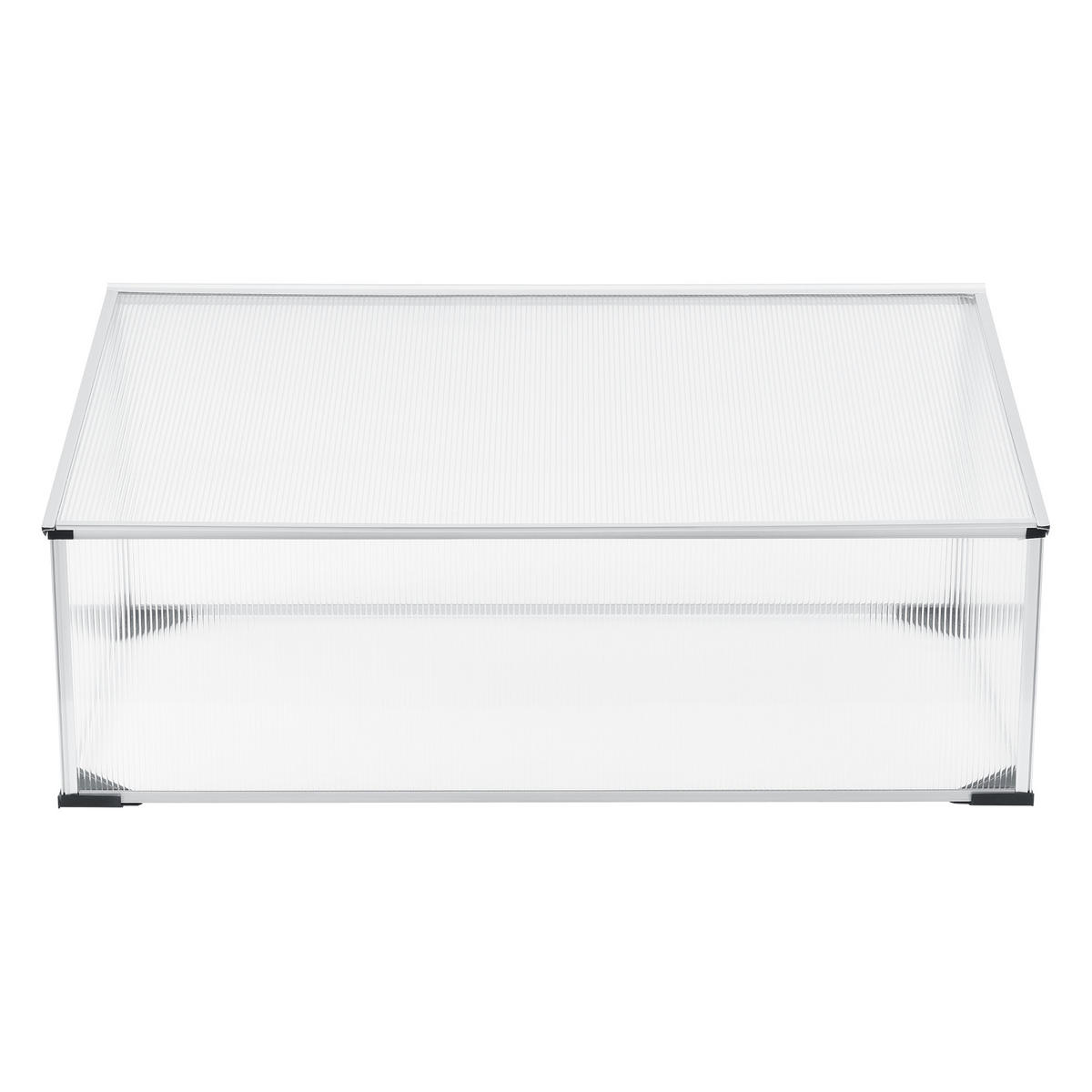 FRÜHBEET Horta - Transparent, Kunststoff (100/40/60cm) - [en.casa]