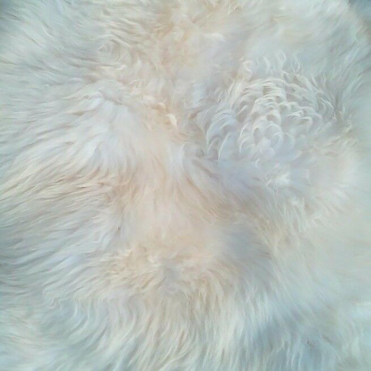 SCHAFFELL Lammfell Naturweiß ca. 90 cm - Weiß, Fell (50/90cm) - Provellus