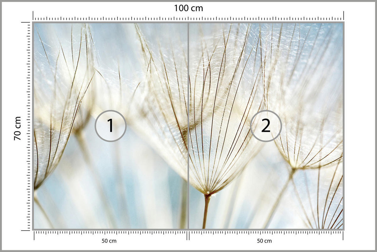 FOTOTAPETE für Wohnzimmer Löwenzahn Pflanzen Natur 100x70 - Blau/Beige, Papier (100/70cm) - Muralo