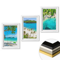 WANDBILDER 3er-Set - 20x30 cm Weißer Rahmen - Strände, Palmen, klares Wasser - Weiß, Kunststoff (20/30cm) - ArtPrintCave