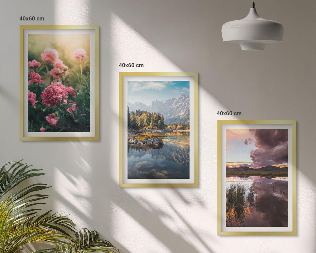 BILDER SET 3er Set - 40x60 cm Goldrahmen - Blumengarten Berge Wasser - Goldfarben, Kunststoff (40/60cm) - TULUP