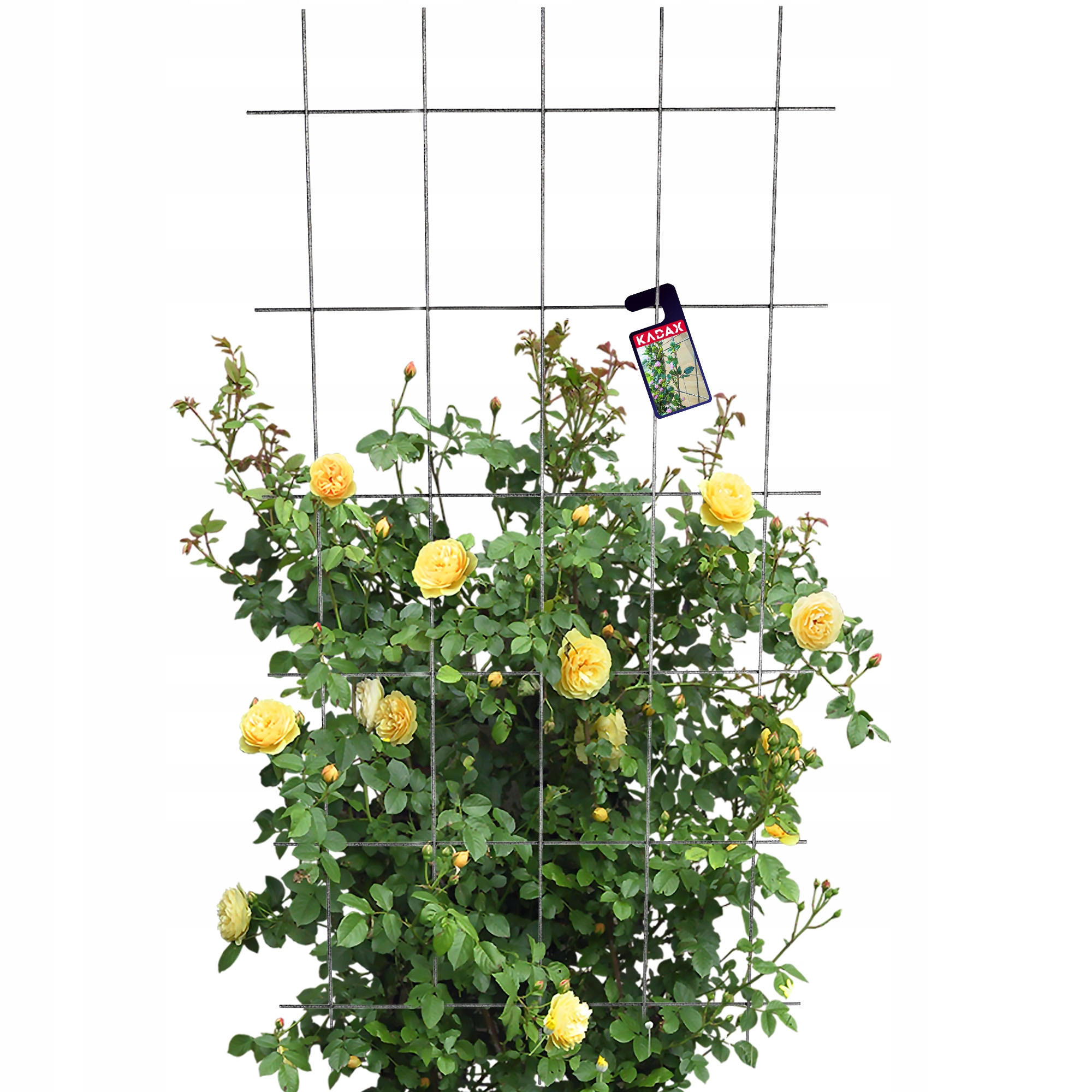 Kadax Blumengitter Schwarz 75x150 cm