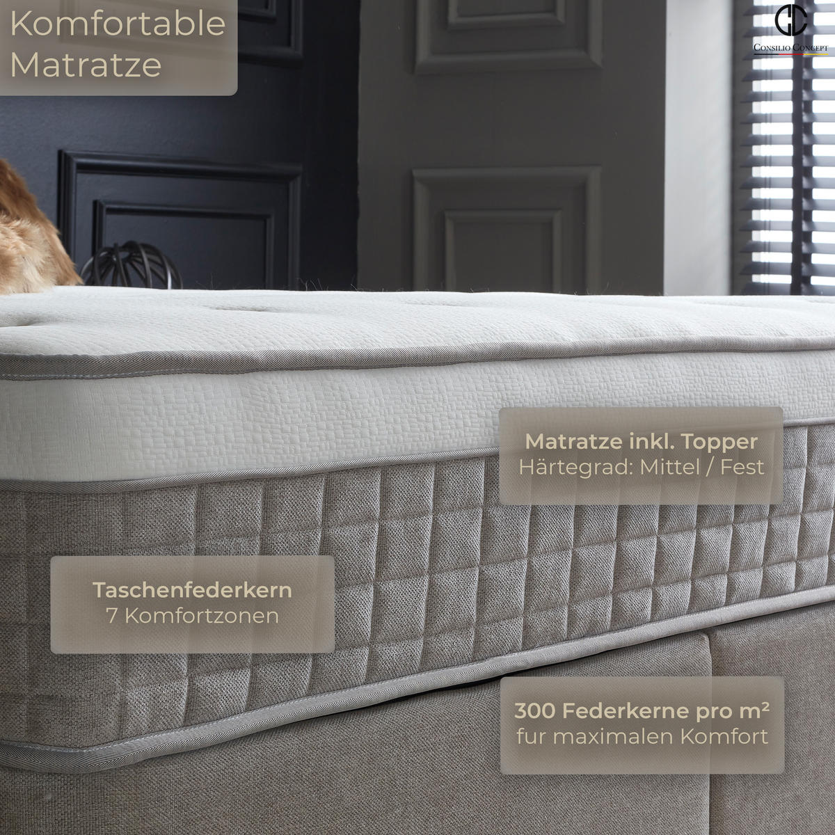 BOXSPRINGBETT MIT BETTKASTEN ARIANA 120/200 cm, Greige, mit Leuchten, Bettkasten, Matratze, Topper integriert, H3 mittel - Greige/Schwarz, Holz/Kunststoff (120/200cm) - Consilio Concept