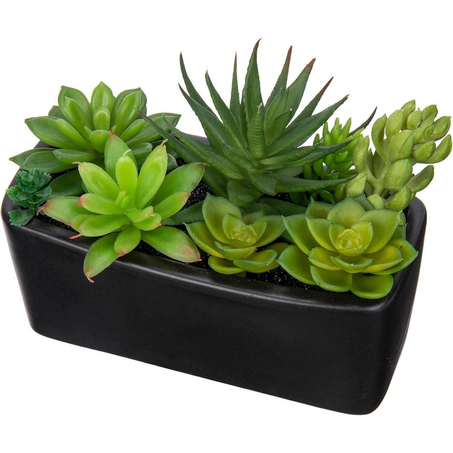 KUNSTPFLANZE Sukkulenten im Keramiktopf Schwarz 14 cm - Schwarz, Keramik (16cm)