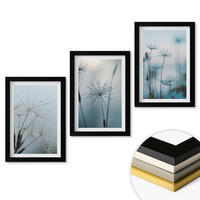 WANDBILDER 3er-Set - 20x30 cm Schwarzer Rahmen - Löwenzahn mit Wassertropfen - Schwarz, Kunststoff (20/30cm) - ArtPrintCave