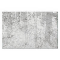 GLASPLATTE für Kamin 60x40 cm - Grau, Glas (60/40/0.4cm) - TULUP