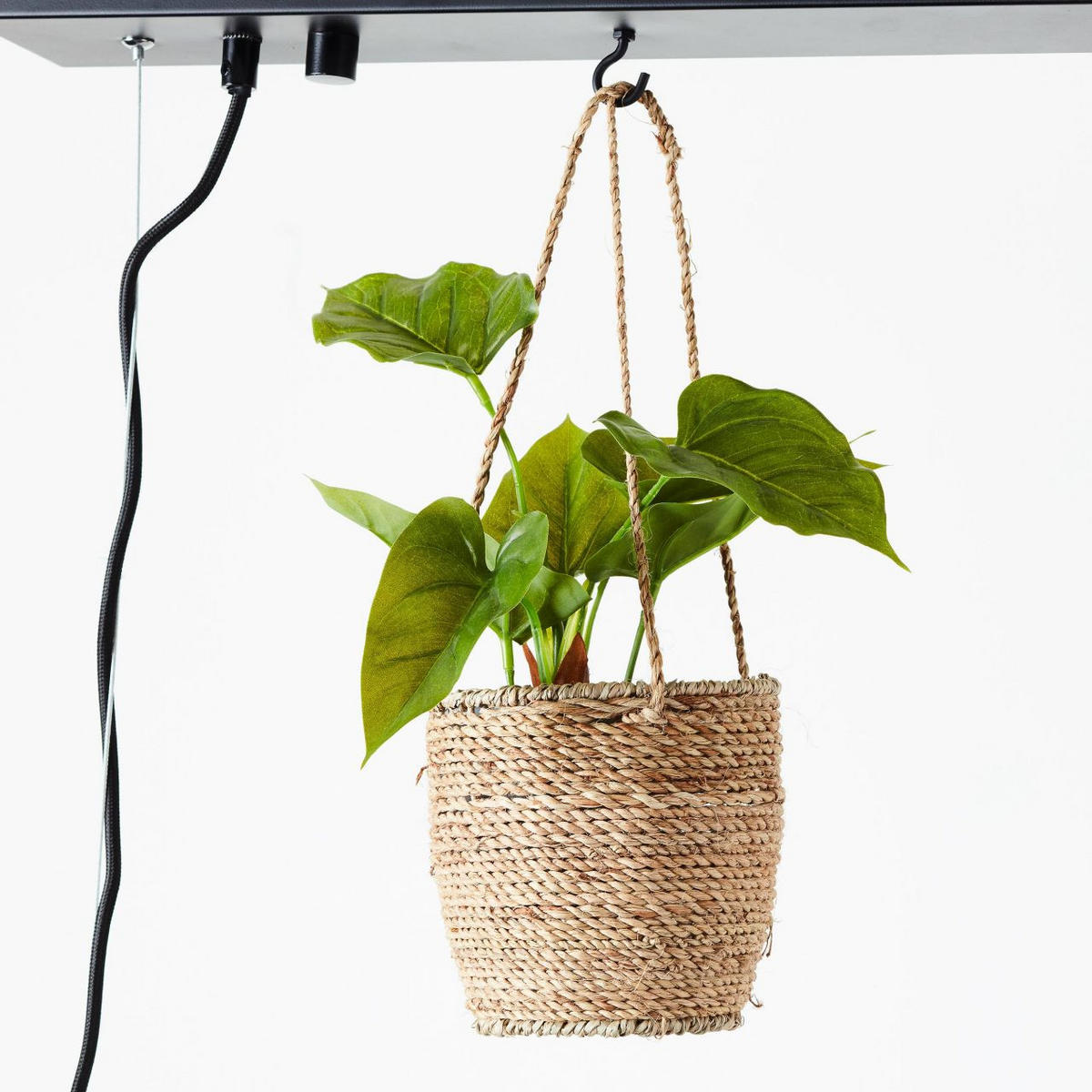 PENDELLEUCHTE Bankwood 99540/46 - Schwarz, Holz (17.5/50/106.5cm) - Brilliant