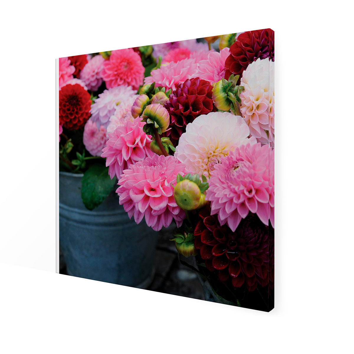 LEINWANDBILD Dahlia 50x50cm - Pink/Altrosa, Textil (50/1cm) - Art for the Home