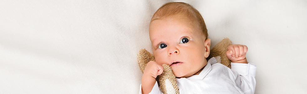 05-Babyzimmer-Bildteaser-980x300