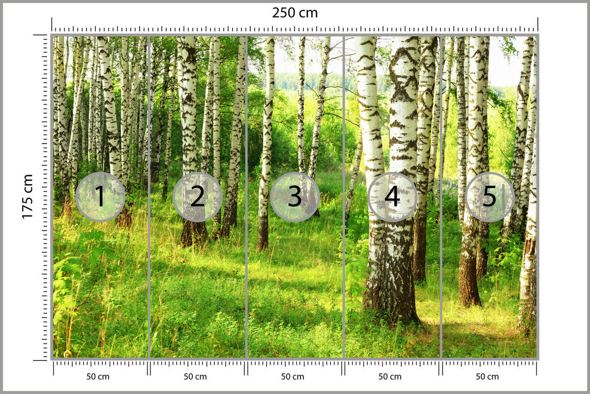 FOTOTAPETE für Esszimmer Birkenwald Bäume Natur 3D 250x175 - Schwarz/Braun, Papier (250/175cm) - Muralo