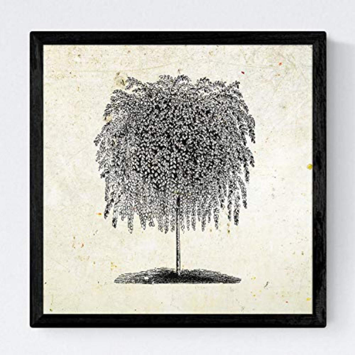 POSTER Set mit 4 Bädern Bäume verschiedene Blätter Weinlese Altpapierhintergrund 30x30 cm Rahmenlos - Klar, Papier (30/3cm) - Nacnic