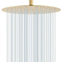 REGENDUSCHE 30 cm Rund Edelstahl Gebürstetes Gold - Goldfarben, Metall (30.5/12.7/30.5cm)