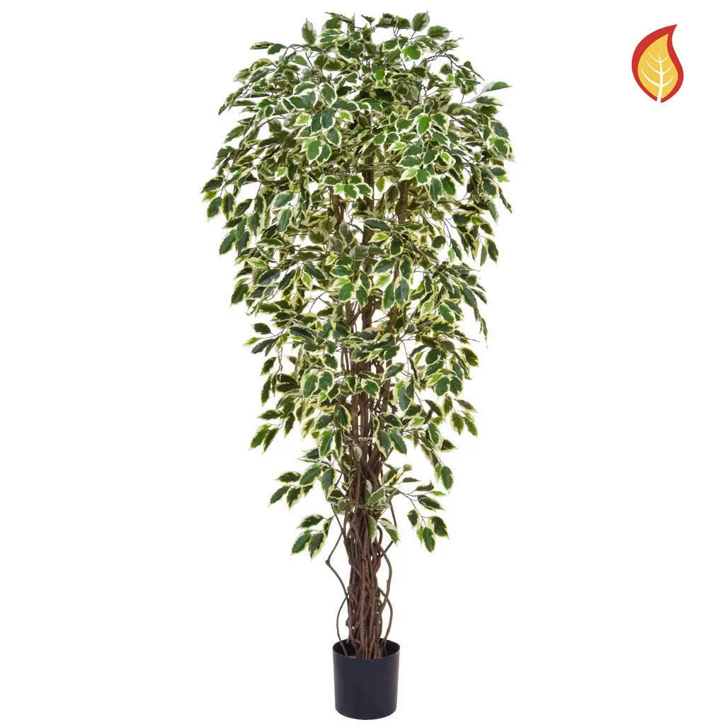 KUNSTBAUM Künstlicher Ficus - Rosemarie 180 cm - Grün, Kunststoff (180cm) - aplanta
