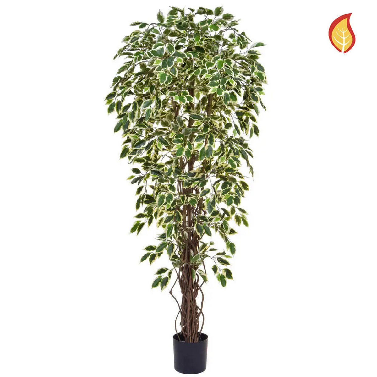 KUNSTBAUM Künstlicher Ficus - Rosemarie 180 cm - Grün, Kunststoff (180cm) - aplanta