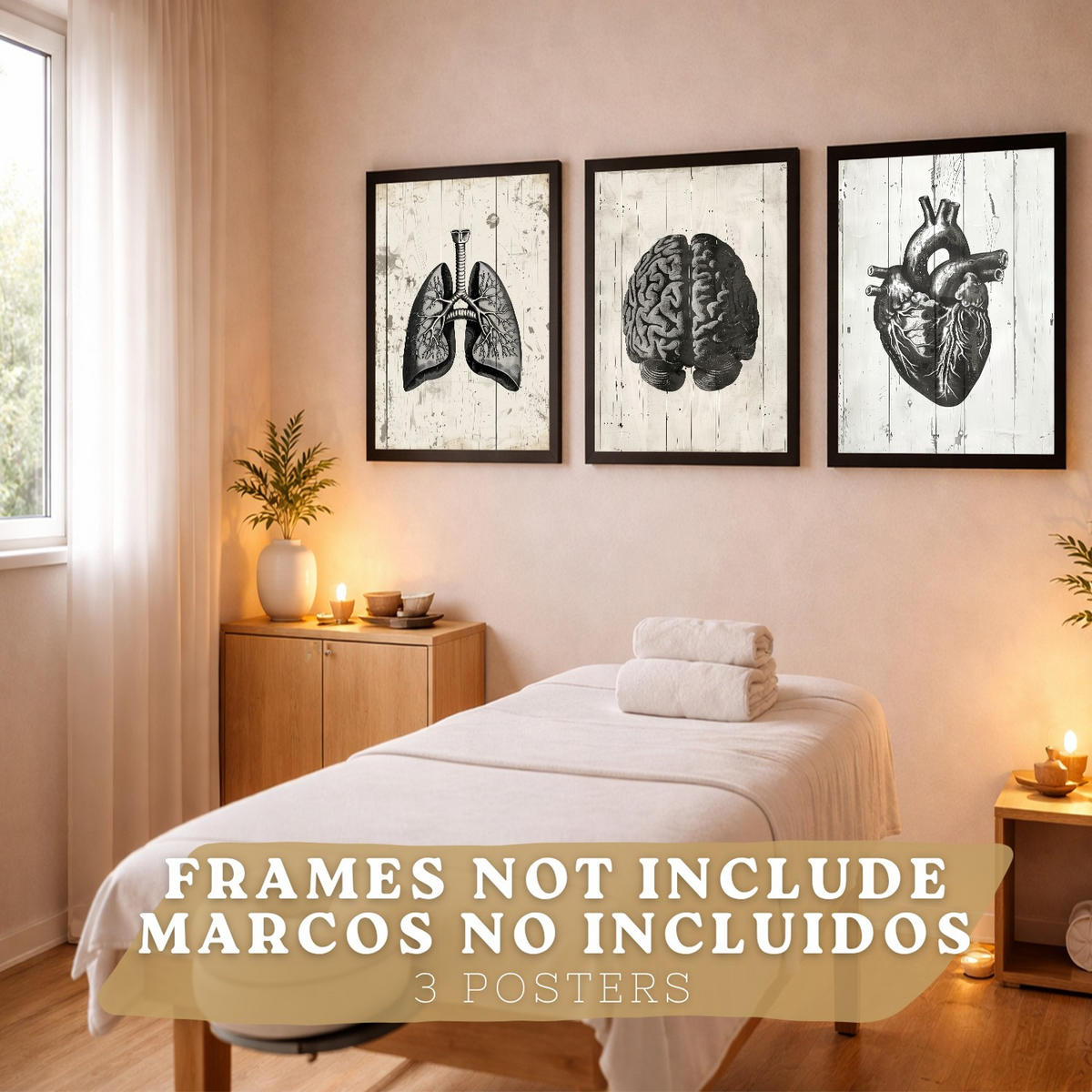 POSTER Set aus 3 Anatomie Mensch Drucke und Wandbilder mit Gehirn Herz Lungen Luftröhre Bronchien Industrielles Schwarz Weiß Design Größe Rahmenlos A4 - Klar, Papier (21/29.7/3cm) - Nacnic