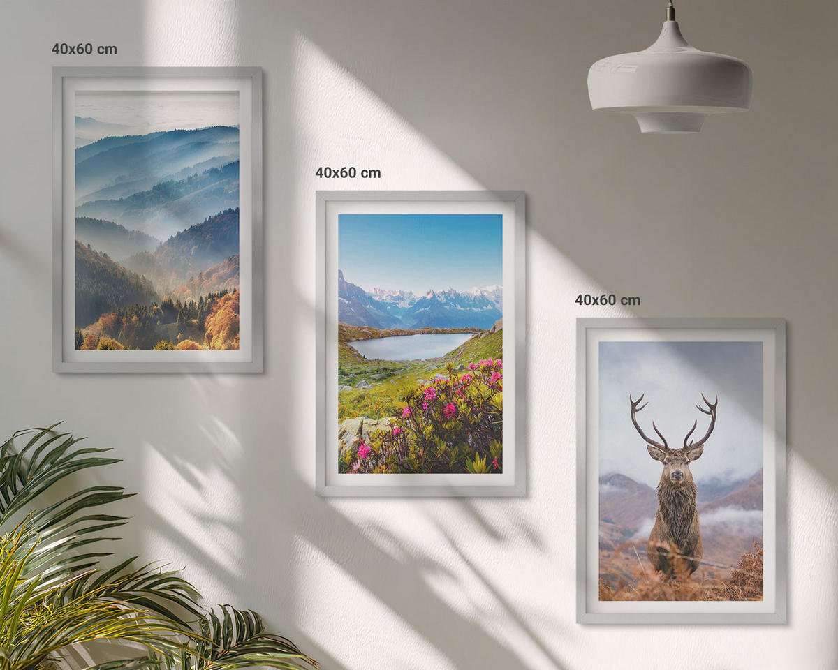 BILDER SET 3er Set - 40x60 cm Silberner Rahmen - Natur des Bergseehirsches - Silberfarben, Kunststoff (40/60cm) - TULUP