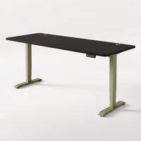 SCHREIBTISCH Elektrisch Höhenverstellbarer HomePro 200x80cm Grün/Schwarz mit Memory-Funktion, Anti-Kollisions Technologie - Schwarz/Grün, Holzwerkstoff (80/200/62cm) - Desktronic