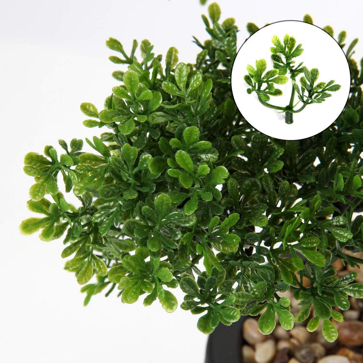 KUNSTBONSAI Podocarpus mit Keramik-Übertopf Schwarz 35.8 cm - Grün, Kunststoff (36cm)