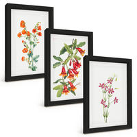 BILDER SET 3er Set - 20x30 cm Schwarzer Rahmen - Vintage-Retro-Blumenmalerei - Schwarz, Kunststoff (20/30cm) - TULUP
